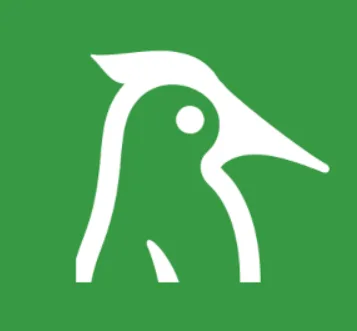 woodpecker